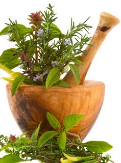 Herbs for the Menopause and the Role of Phyto-oestrogens